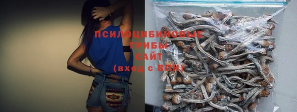 молекула духа Михайловка