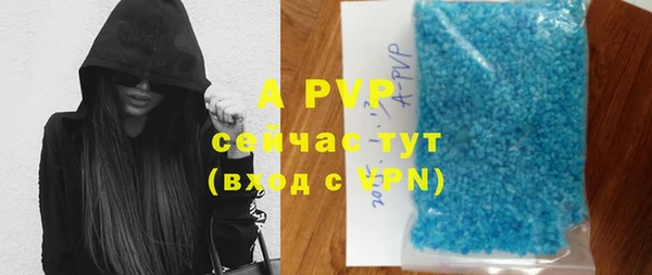 прущие грибы Михайловск