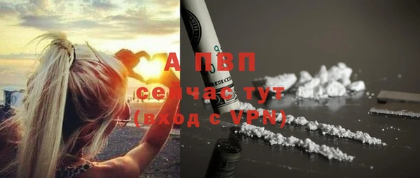 тгк Надым