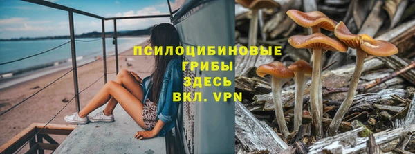 таблы Михайлов