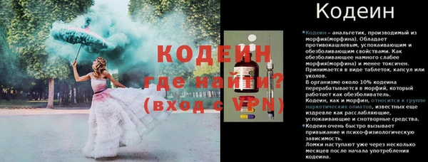 прущие грибы Михайловск
