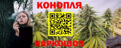 трава Будённовск