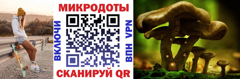 гидра как зайти  Мирный  дарк нет как зайти  купить   Галлюциногенные грибы ЛСД 