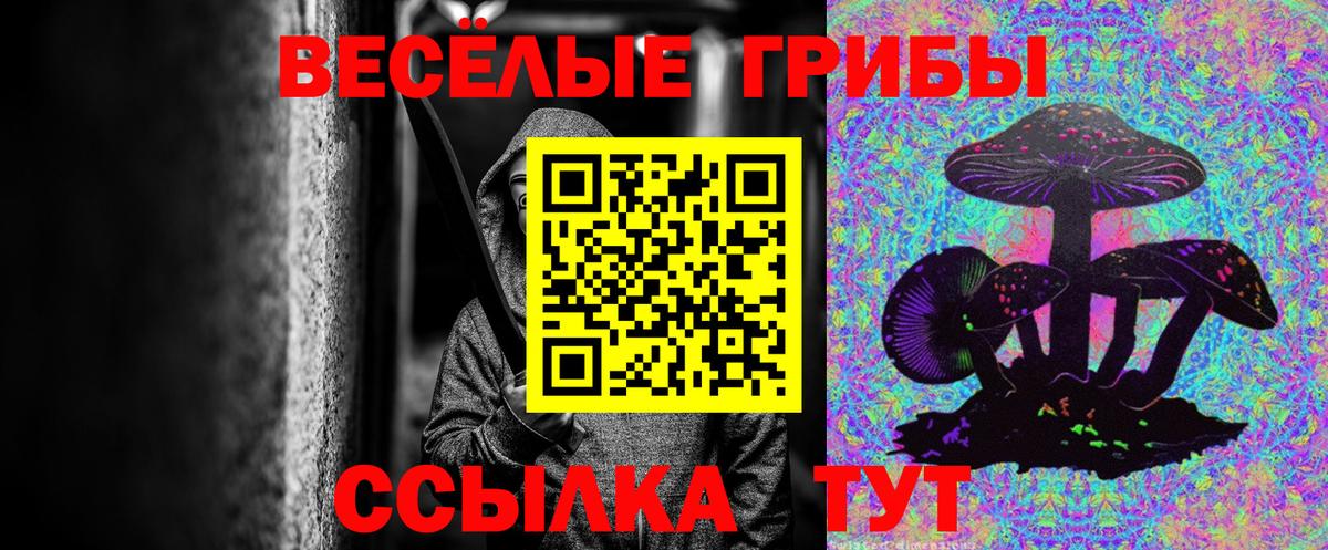 Галлюциногенные грибы Cubensis  закладка  Мирный  Вход с VPN 