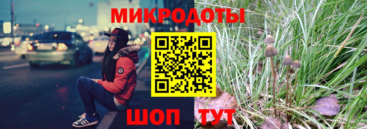 Галлюциногенные грибы прущие грибы  где можно купить   Галлюциногенные грибы прущие грибы  Мирный 