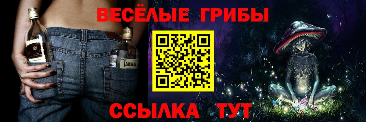 Галлюциногенные грибы прущие грибы  где можно купить наркотик  Мирный 