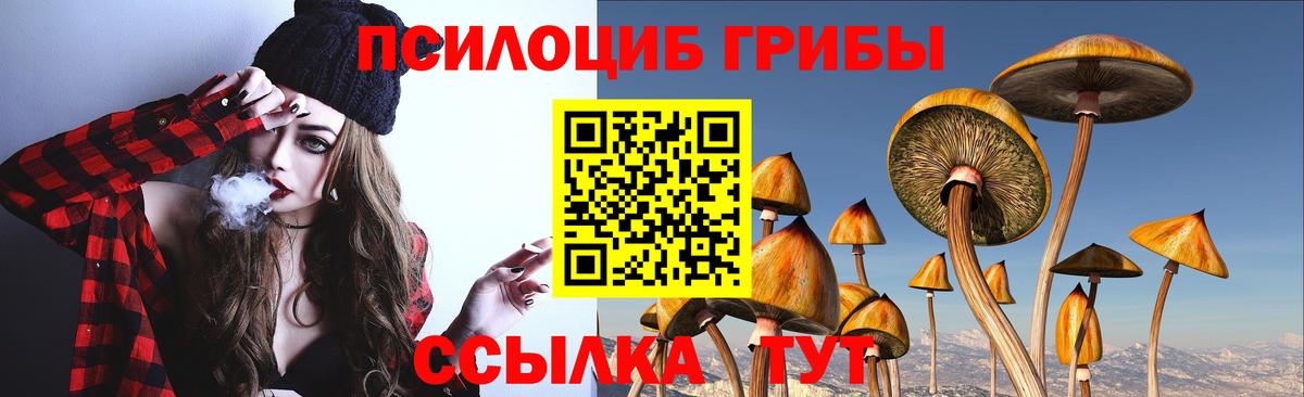 Галлюциногенные грибы прущие грибы Мирный