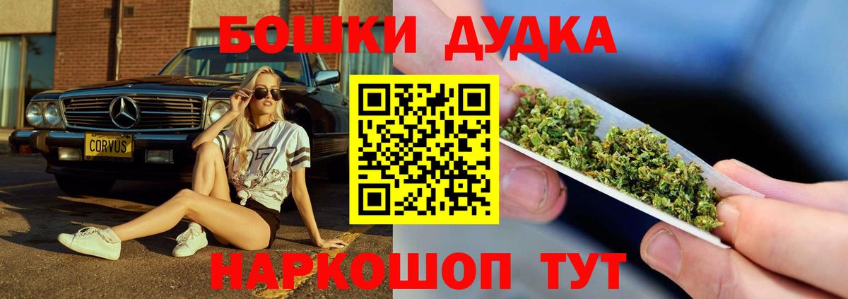 Шишки марихуана семена  Бошки марихуана планчик  Мирный  Вход с VPN  Бошки Шишки Bruce Banner 